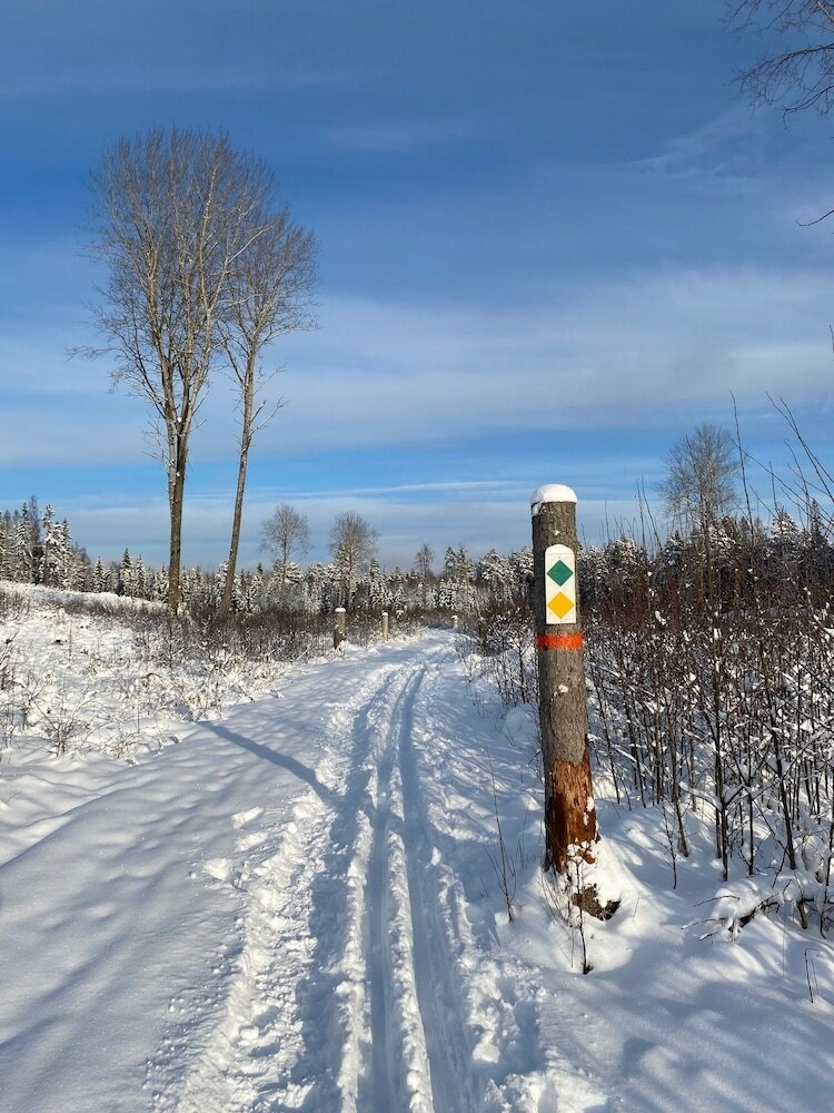 Фото Magnolia House Norrviken