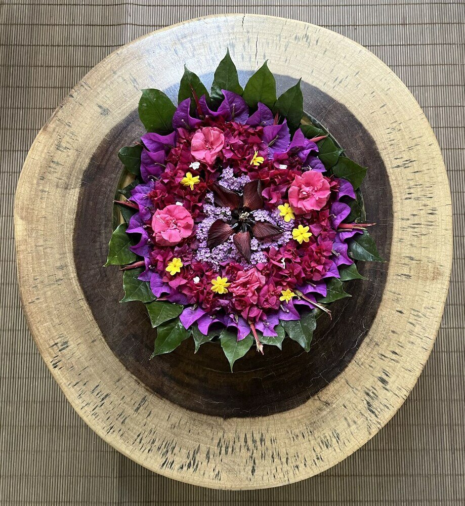 Фото Hotel La Casa de los Árboles