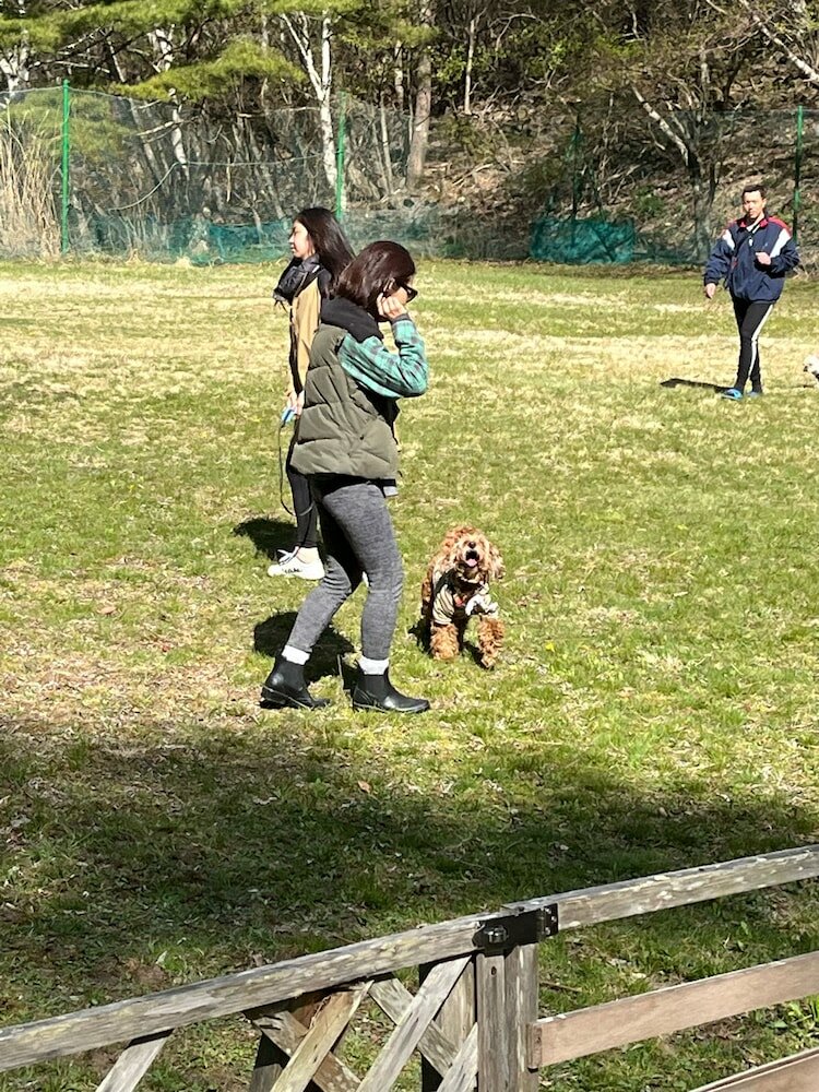 Фото Sakurashimizu Cottage