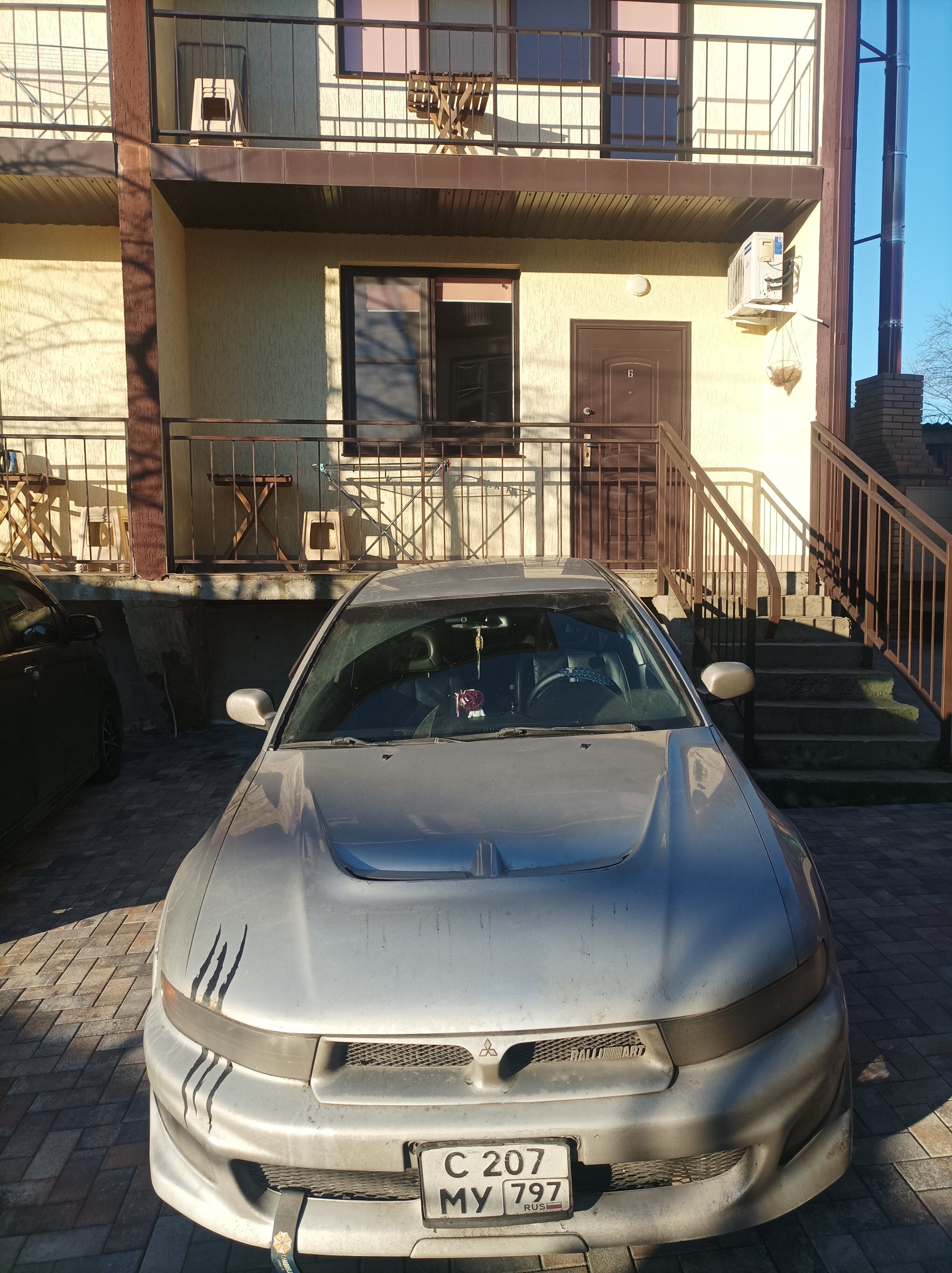 Фото Колибри