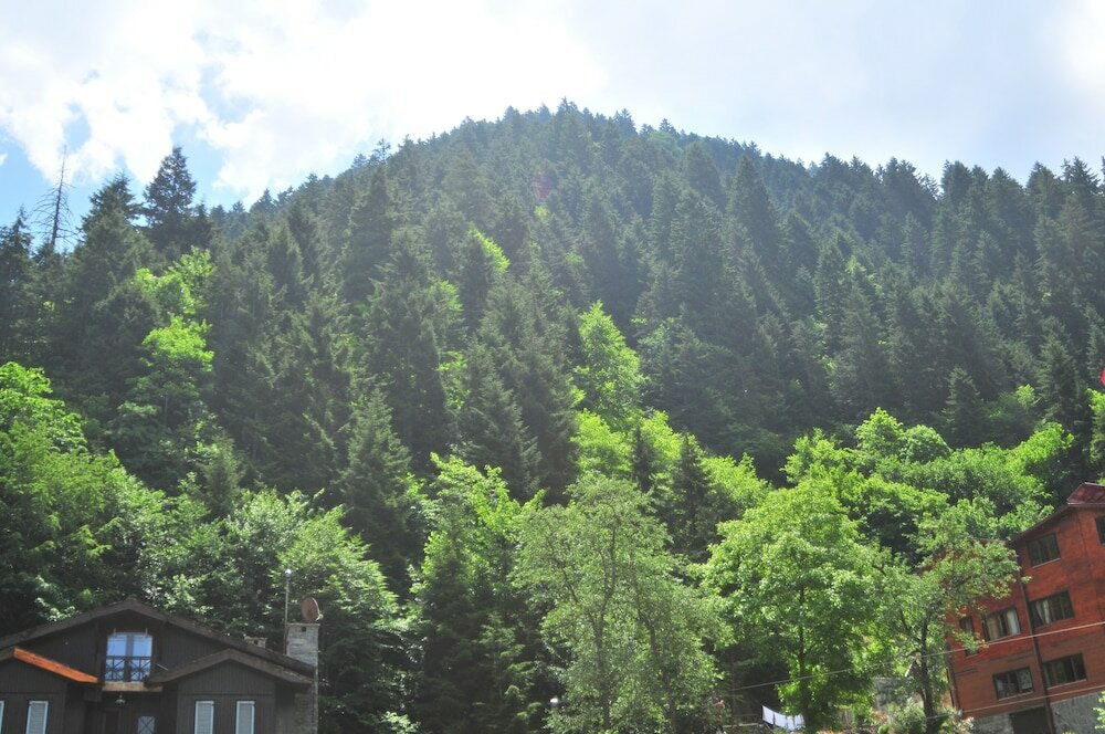 Фото Dilek Suit & Cafe