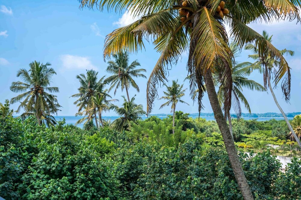 Фото Outpost Weligama