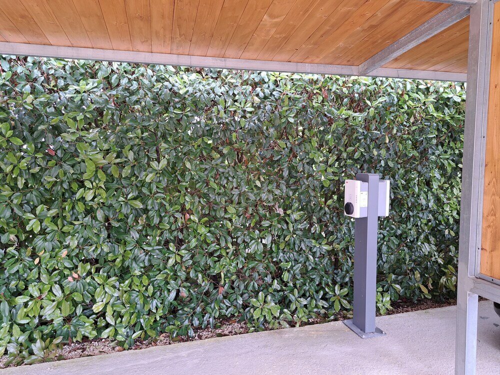 Фото Family Farm Soc. Agricola - Agriturismo