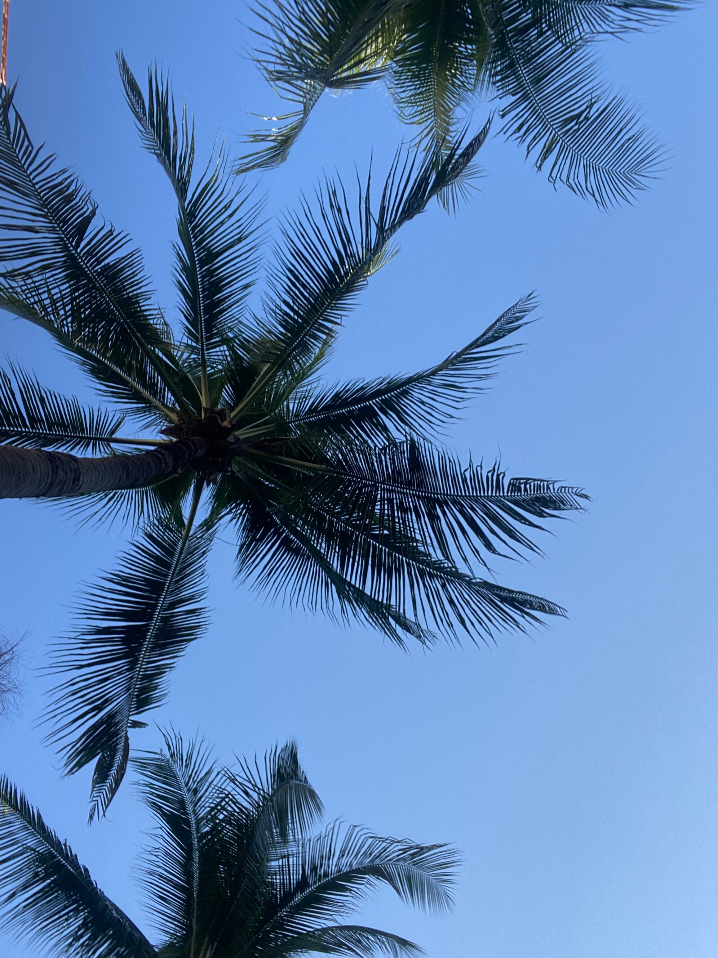 Фото Hotel Baraquda Heeton Pattaya