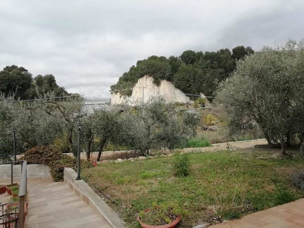 Фото Agriturismo il Grande Ulivo