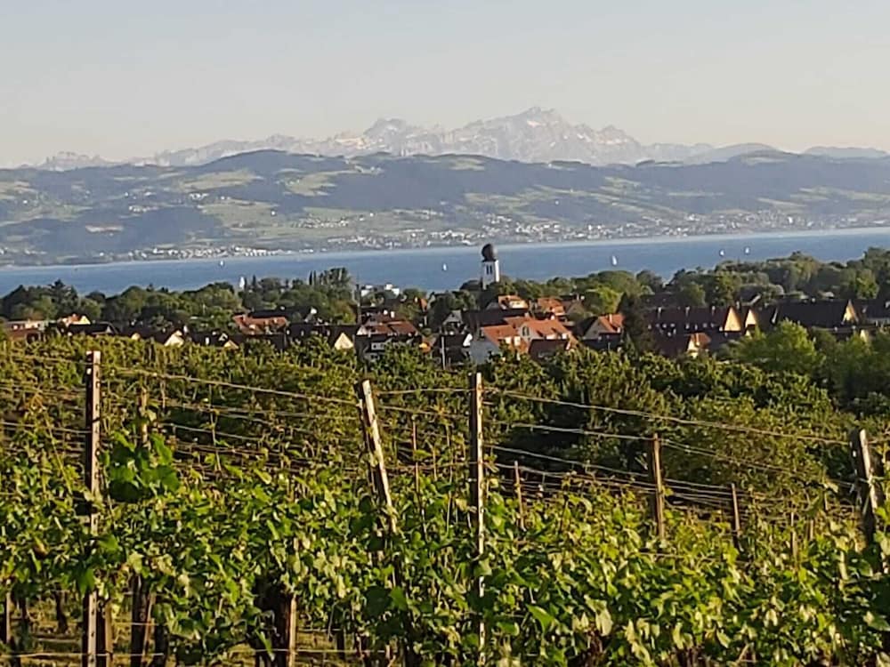 Фото Teddybärenhotel