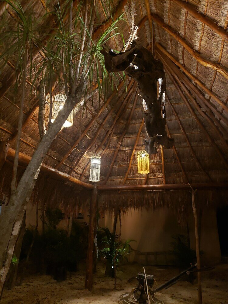 Фото Jungle Penthouse