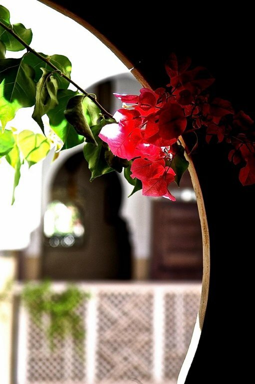 Фото Riad Hadika Maria