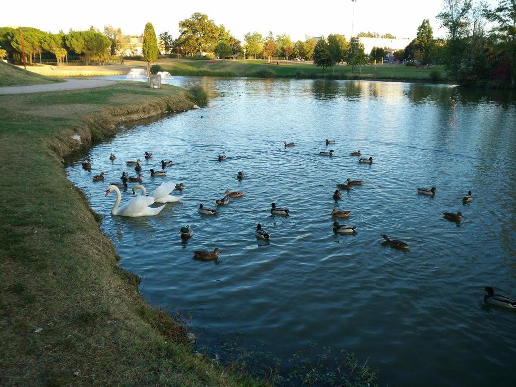 Фото Holiday Inn Express Toulouse Airport