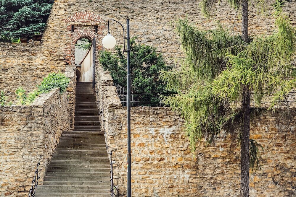 Фото Skodova Apartments