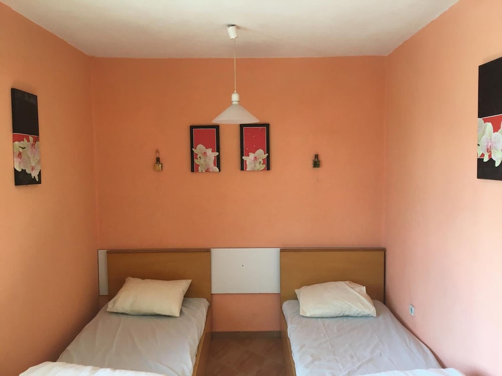 Фото Hair of the Dog Hostel