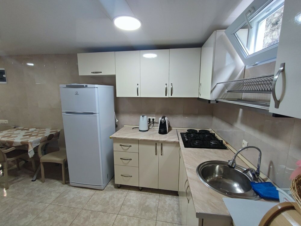 Фото Hotel Botanica