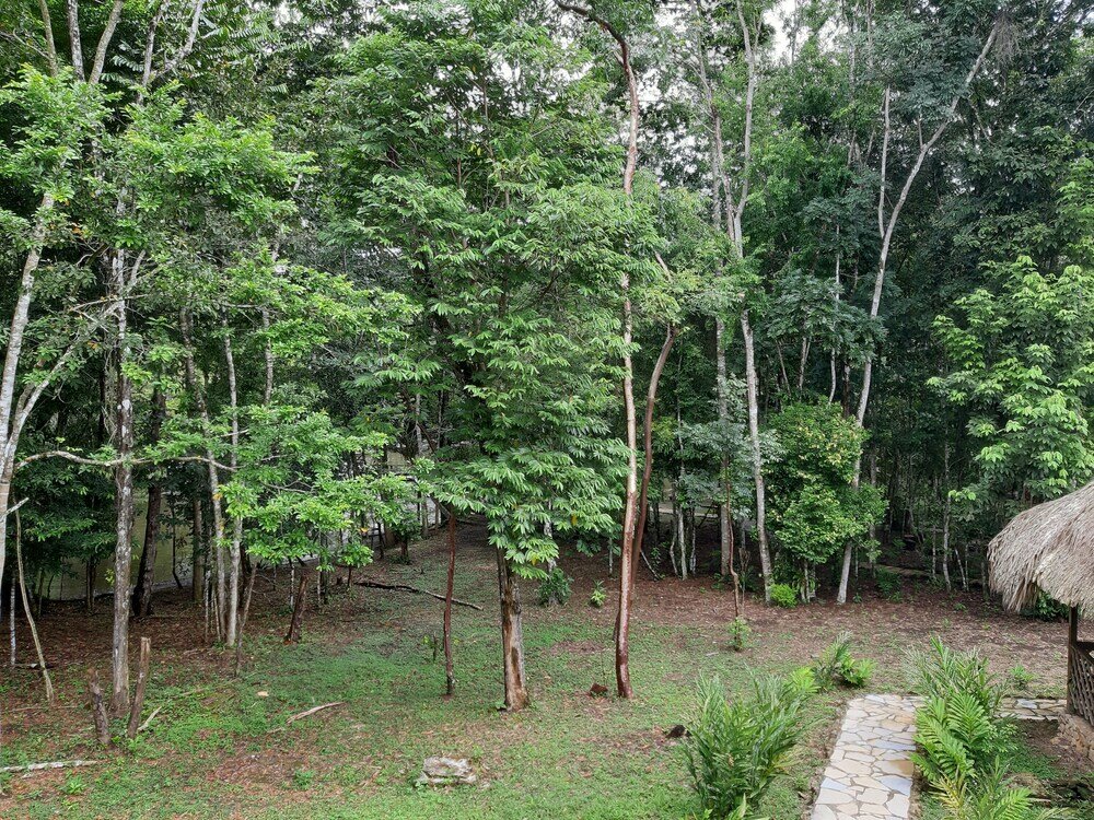 Фото Campamento Lacandones