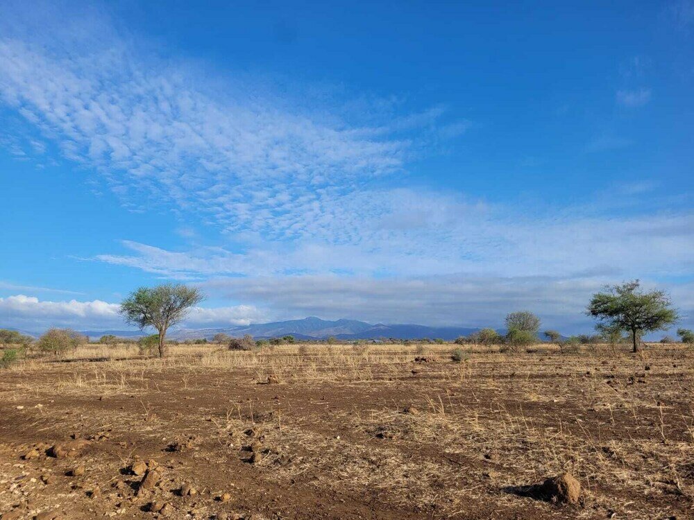 Фото Maasai Eco Boma Lodge