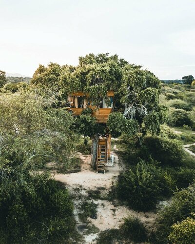 Гостиница Leopard Nest - Glamping in Yala