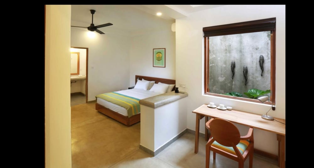 Фото Moss Colombo