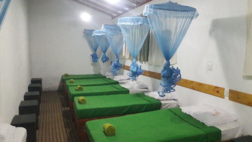 Фото Foret De Vill - Hostel