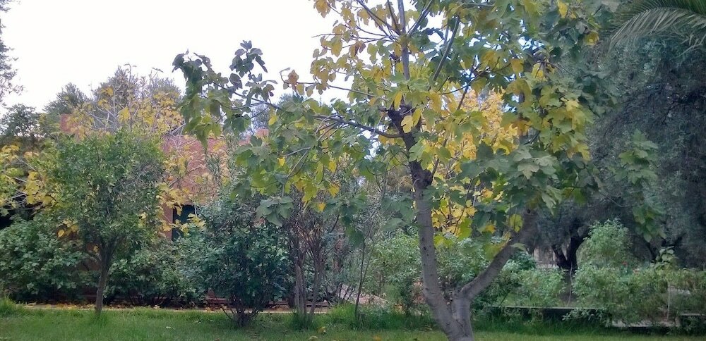 Фото Maison Boughdira