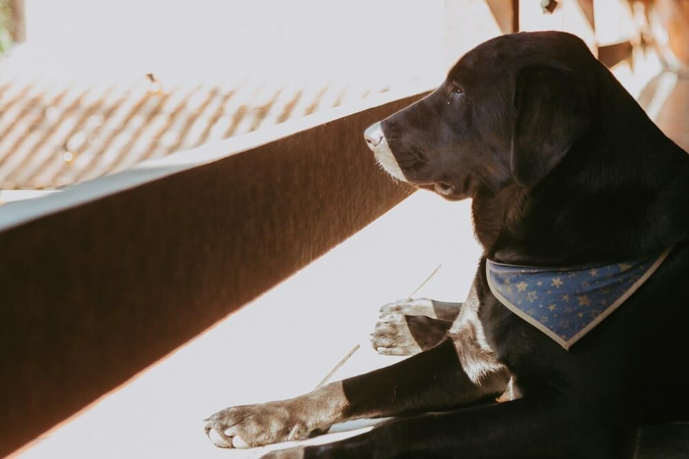 Фото Drifter Hostel