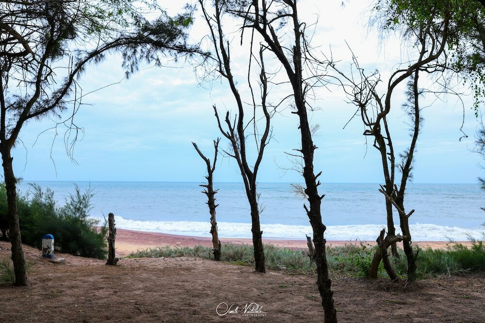 Фото Ceylonta Beach Resort and SPA