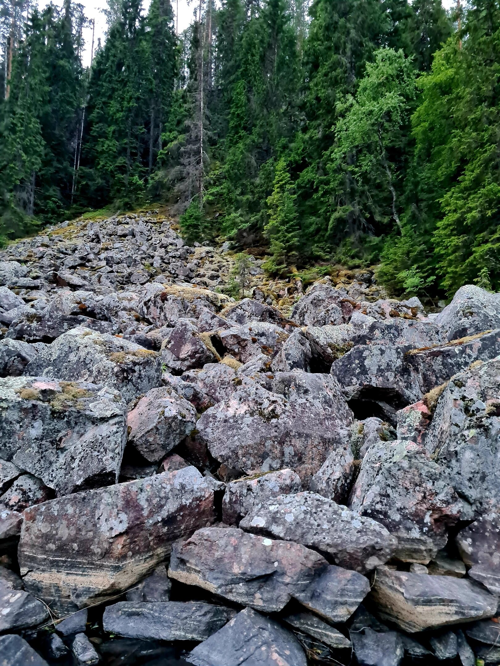 Фото Хутор ЛихKoff