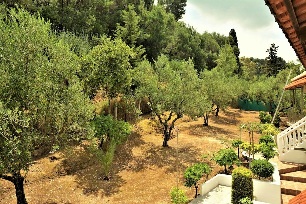 Фото Petros Giatras - Rooms