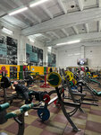 Ковчег (ulitsa Chapayeva, 5/26), sports hall, gym
