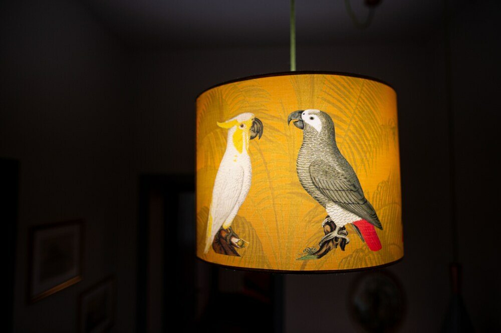 Фото Casa Leopoldo