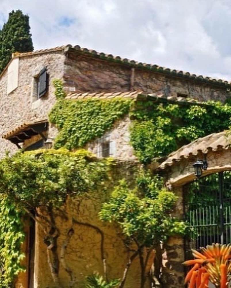 Фото Masia Mimosa