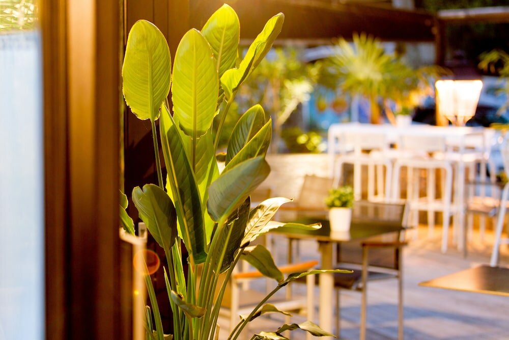 Фото Arcanse by Inwood Hotels