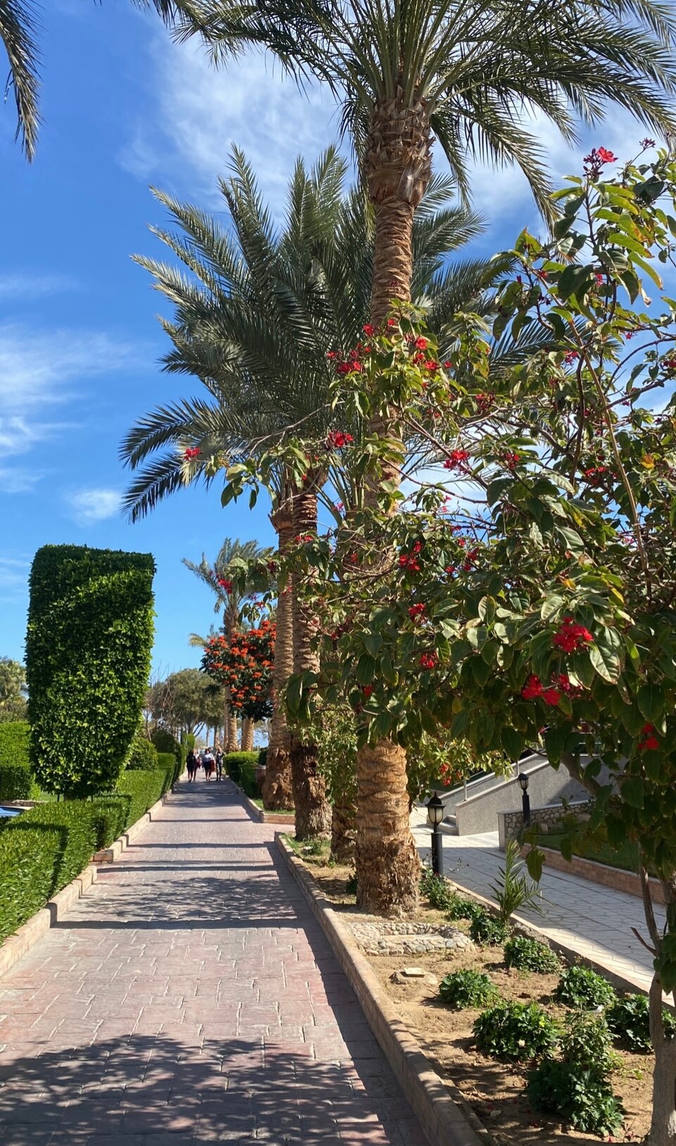 Фото Golden Beach Resort