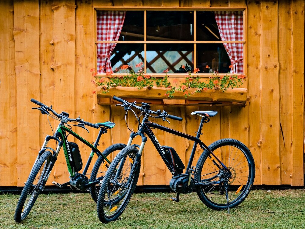 Фото Glamping Forest Edge