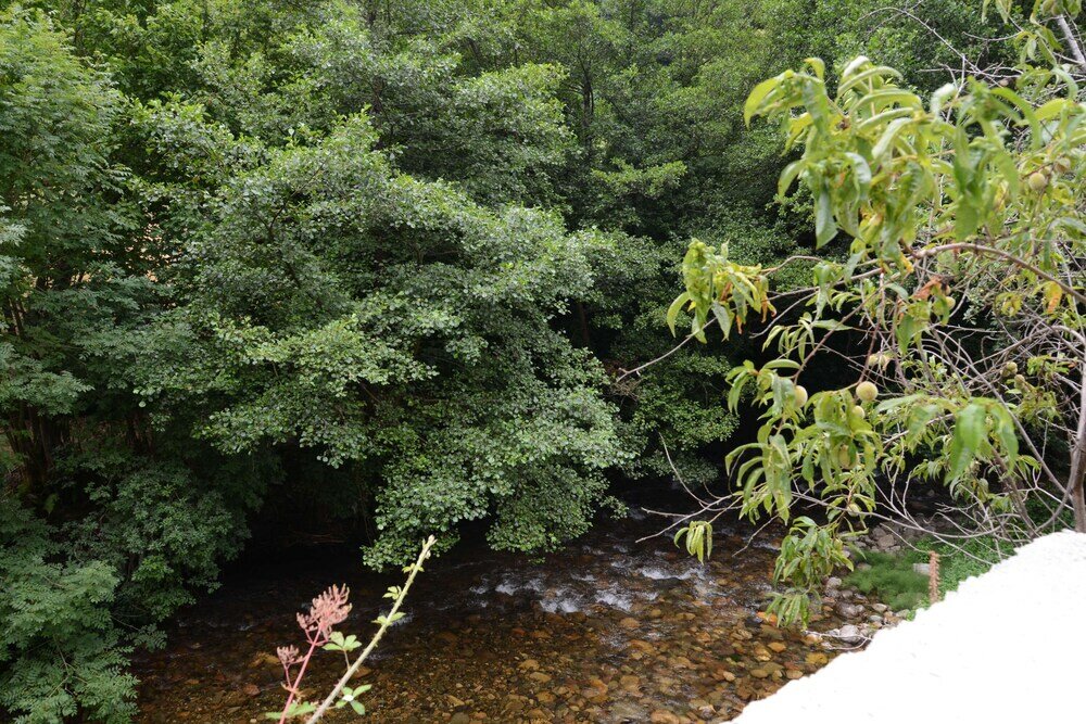 Фото El Rincón de Limés