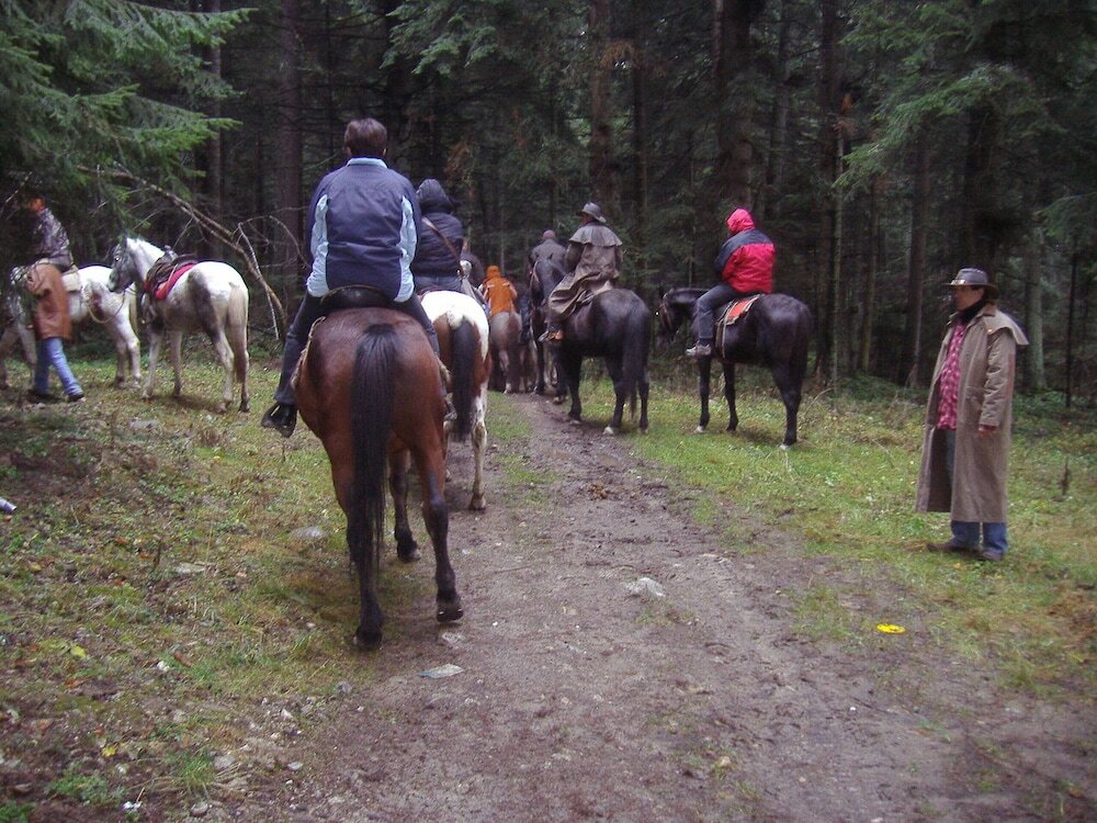 Фото Musala Hotel