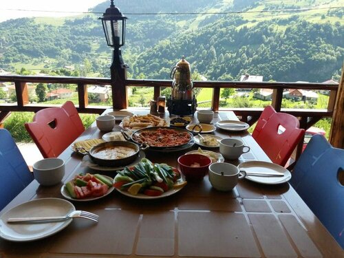 Гостиница Hamsikoy Tas Otel в Мачке