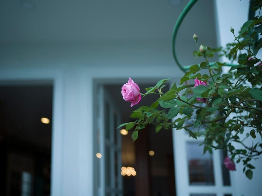 Фото Le Soleil Boutique Hotel Dalat