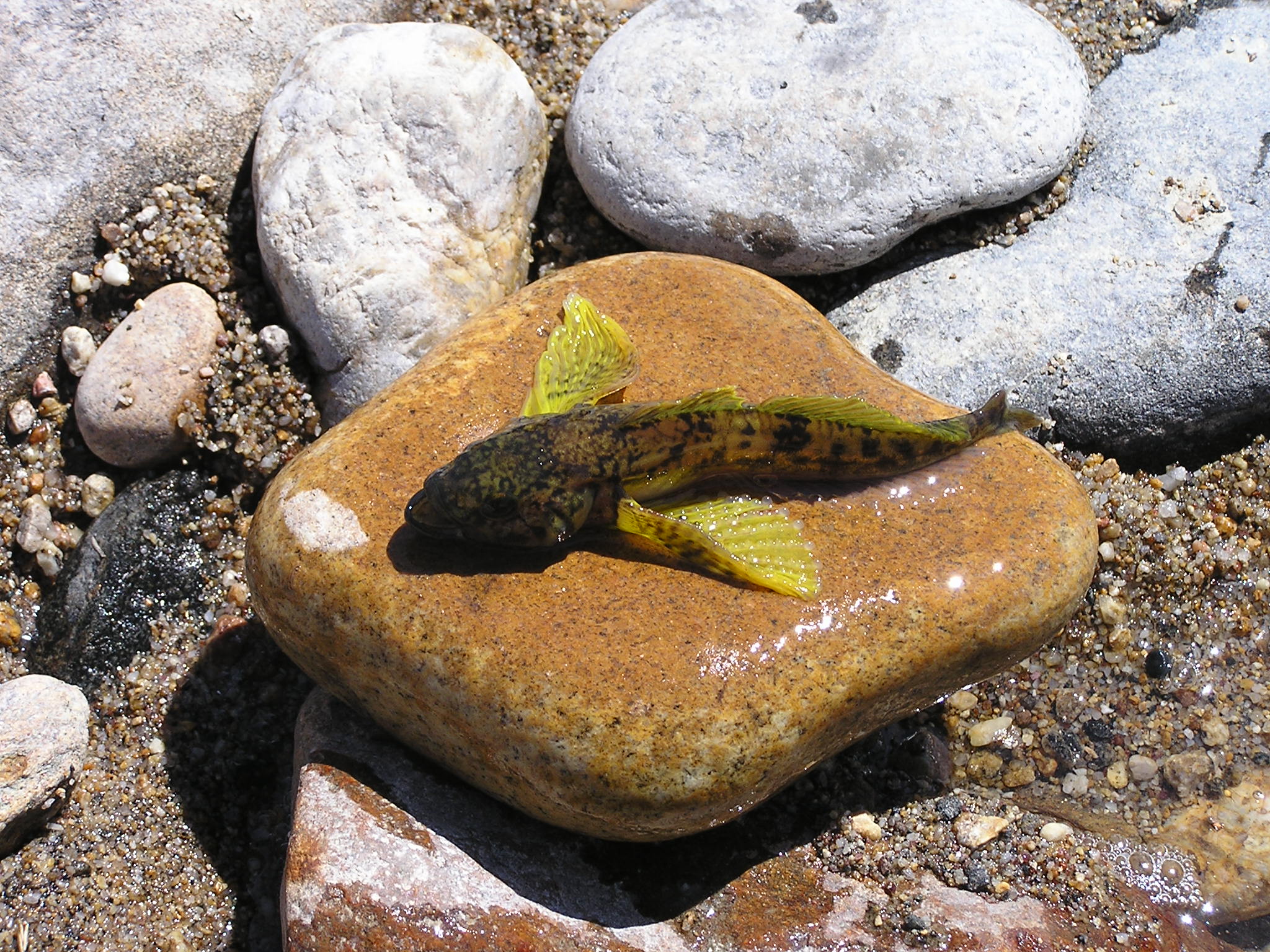 Фото Байкал Делайт