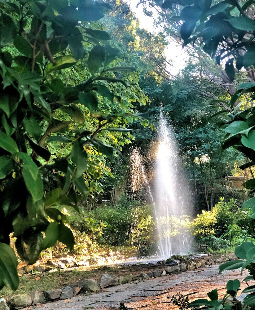 Фото Villa Musolino Country Resort