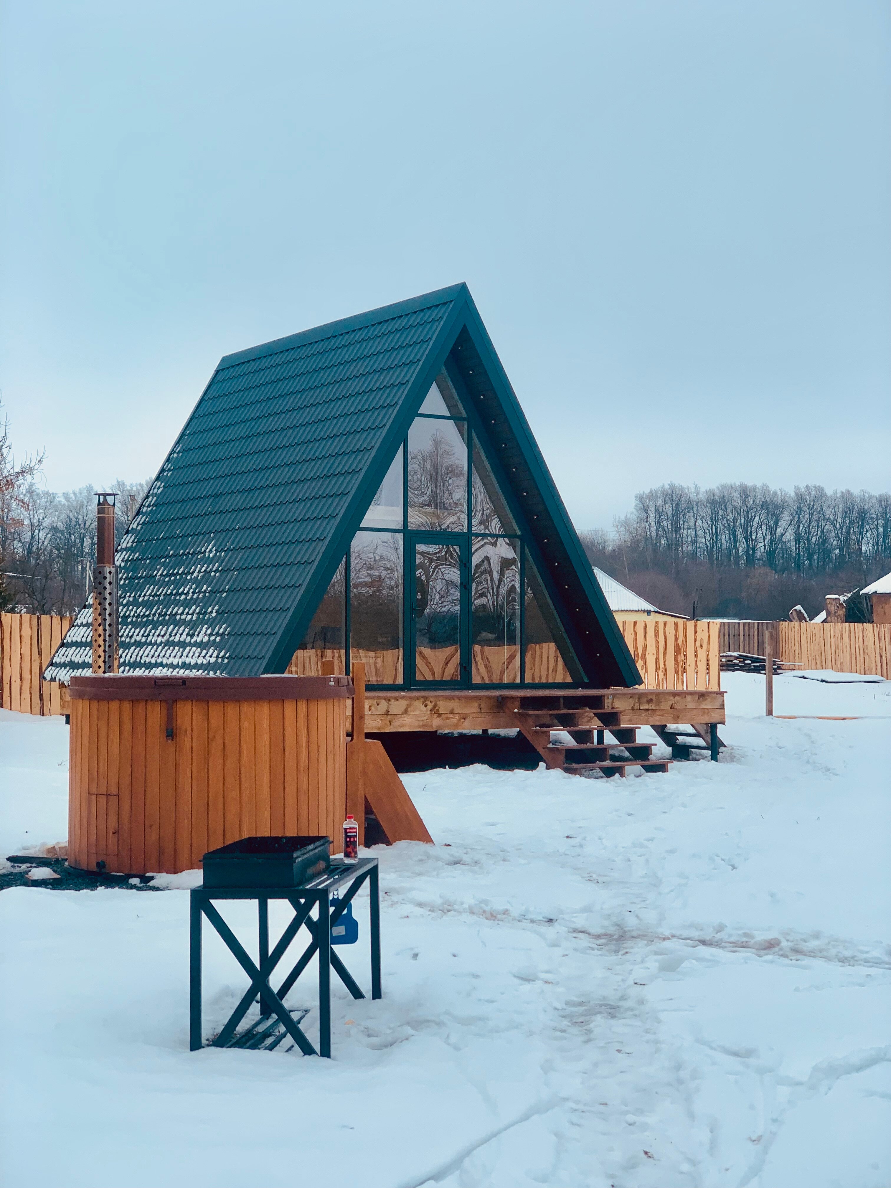 Фото Камыши