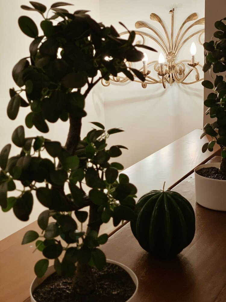 Фото Residenza Tritone a Fontana di Trevi