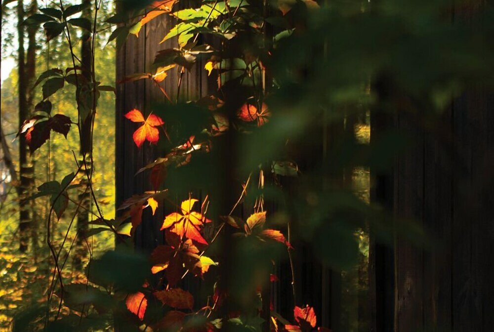 Фото Rabarberi Lv — SeaSide Village