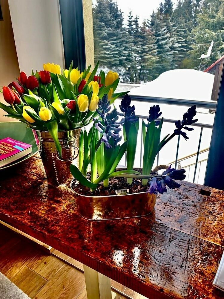 Фото Joy Aparthotel Klinovec