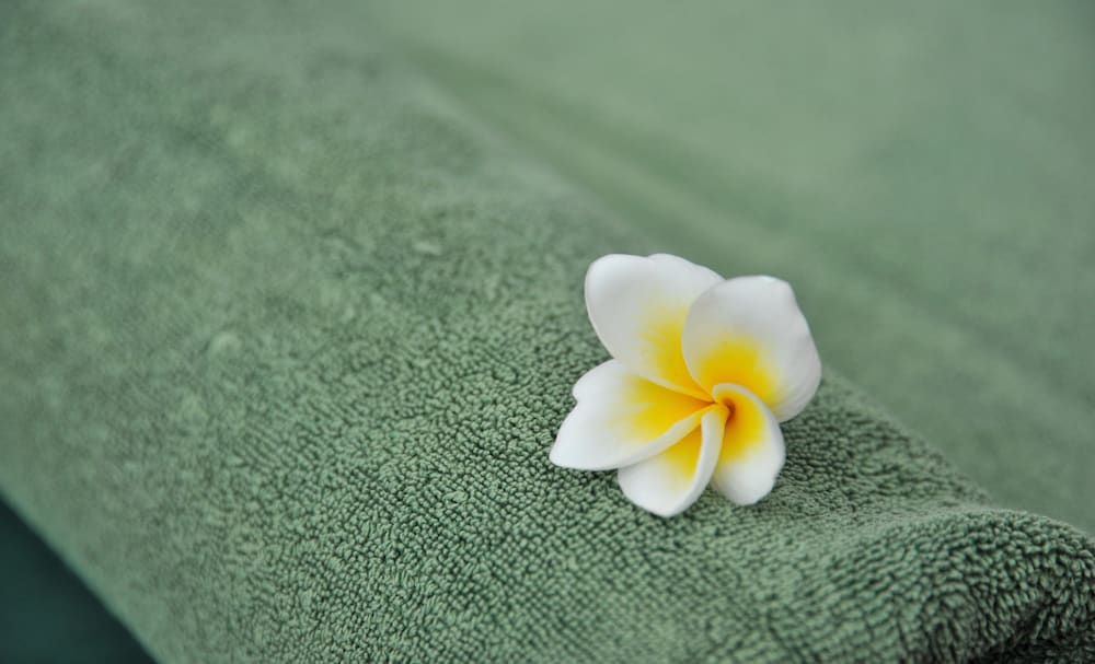 Фото Kilaguni Serena Safari Lodge