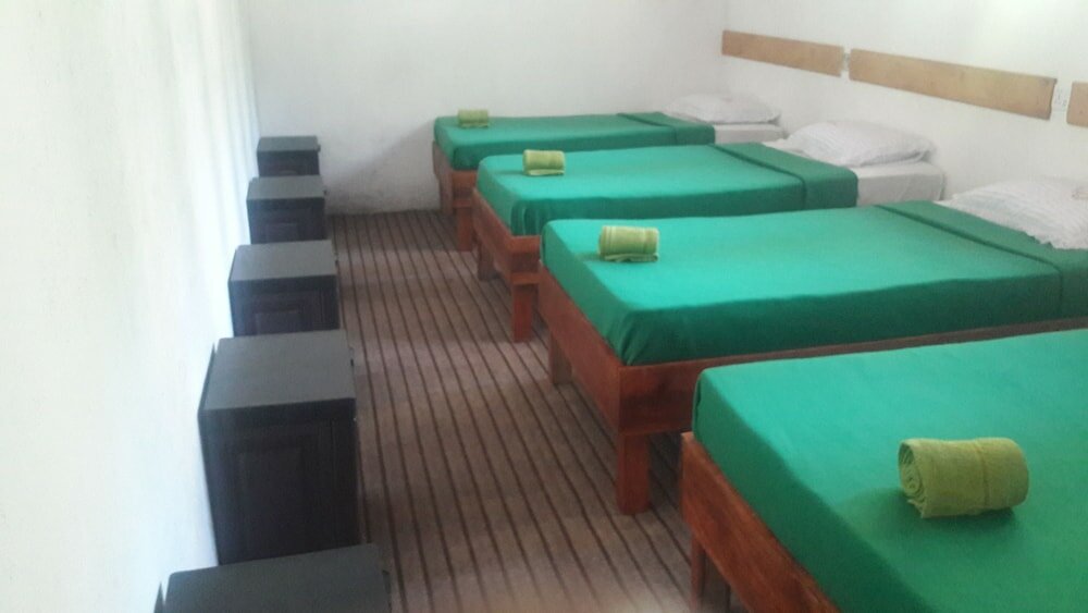 Фото Foret De Vill - Hostel