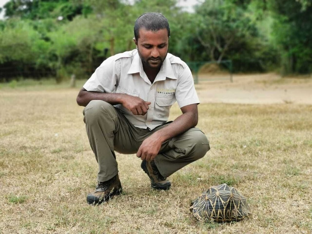 Фото Big Game Yala by Eco Team