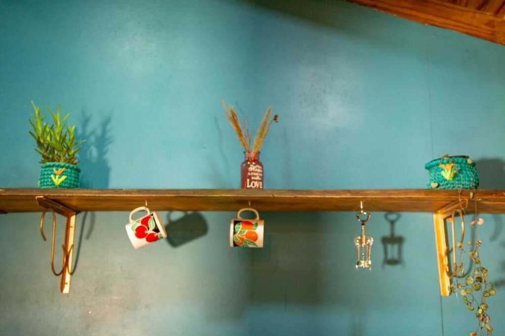 Фото Cabanas Aconchego dos Canyons