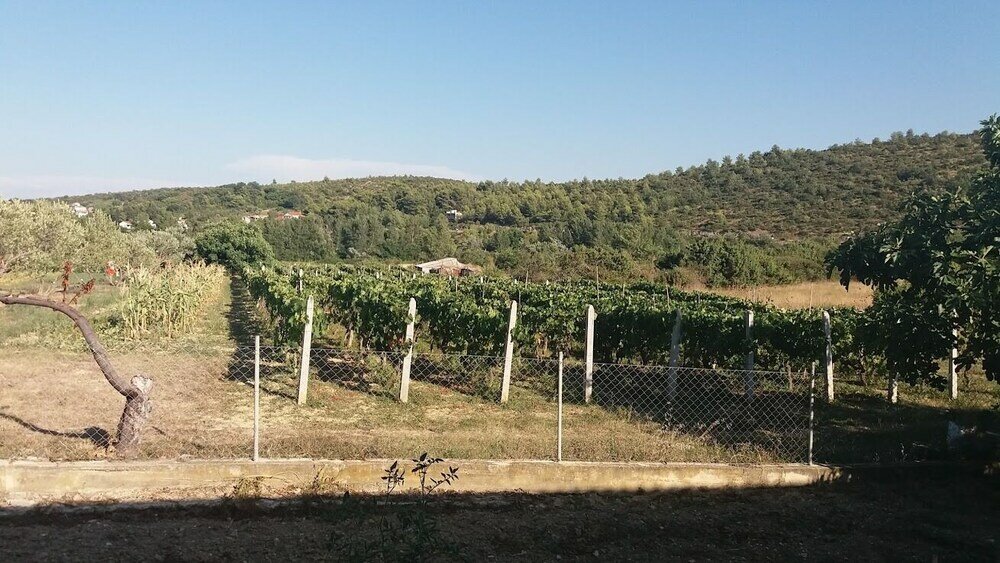 Фото Ivo - 0, 5 km From Sandy Beach - A3