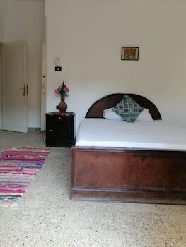 Фото Pharaonic Rose