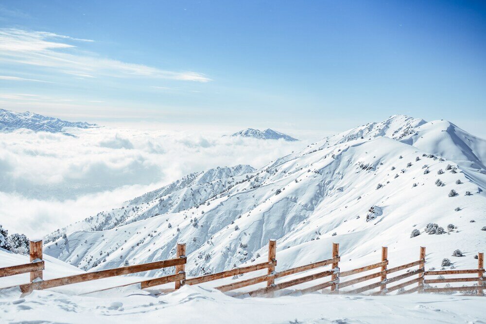 Фото Le Chalet by Amirsoy