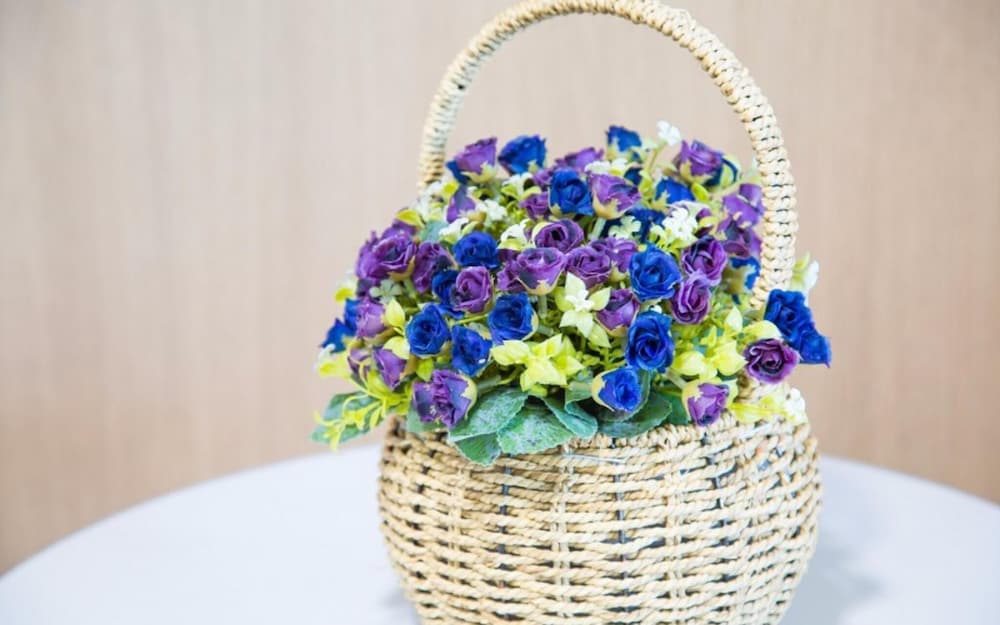 Фото Yeosu Yewon Healing Pension